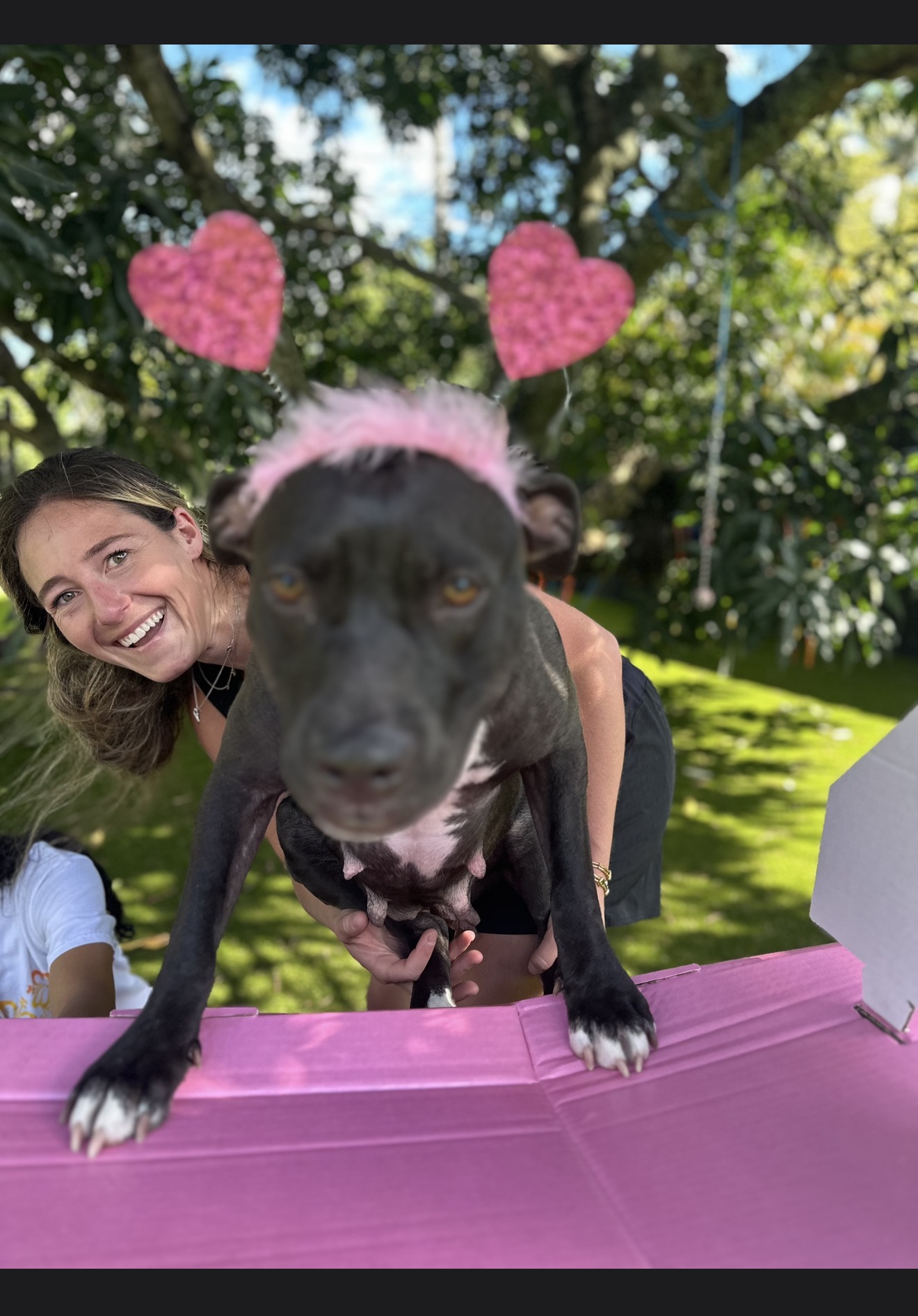 Person holding a puppy wearing a pink headband outdoors with trees and pink heart decorations in background.